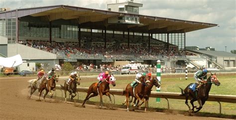 finger lakes entries and results.